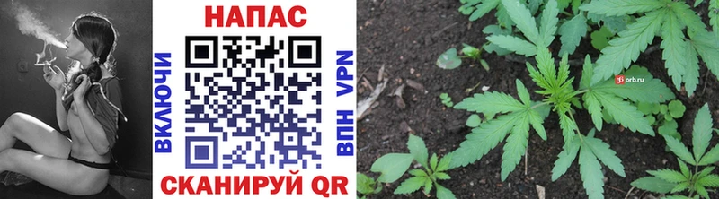 Где купить наркоту Сосновый Бор Конопля Псилоцибиновые грибы COCAIN ГАШ Меф мяу мяу АМФЕТАМИН