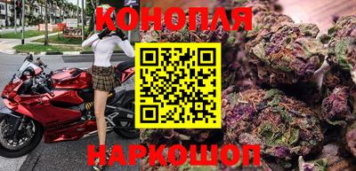 шишки Жуковский