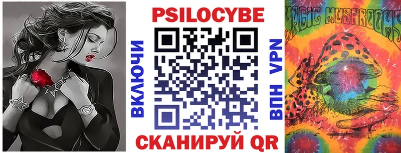 omg маркетплейс купить наркотик Сосновый Бор Галлюциногенные грибы MAGIC MUSHROOMS