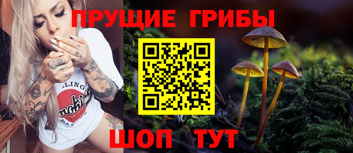 Галлюциногенные грибы Magic Shrooms Сосновый Бор